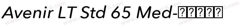 Avenir LT Std 65 Med字体转换